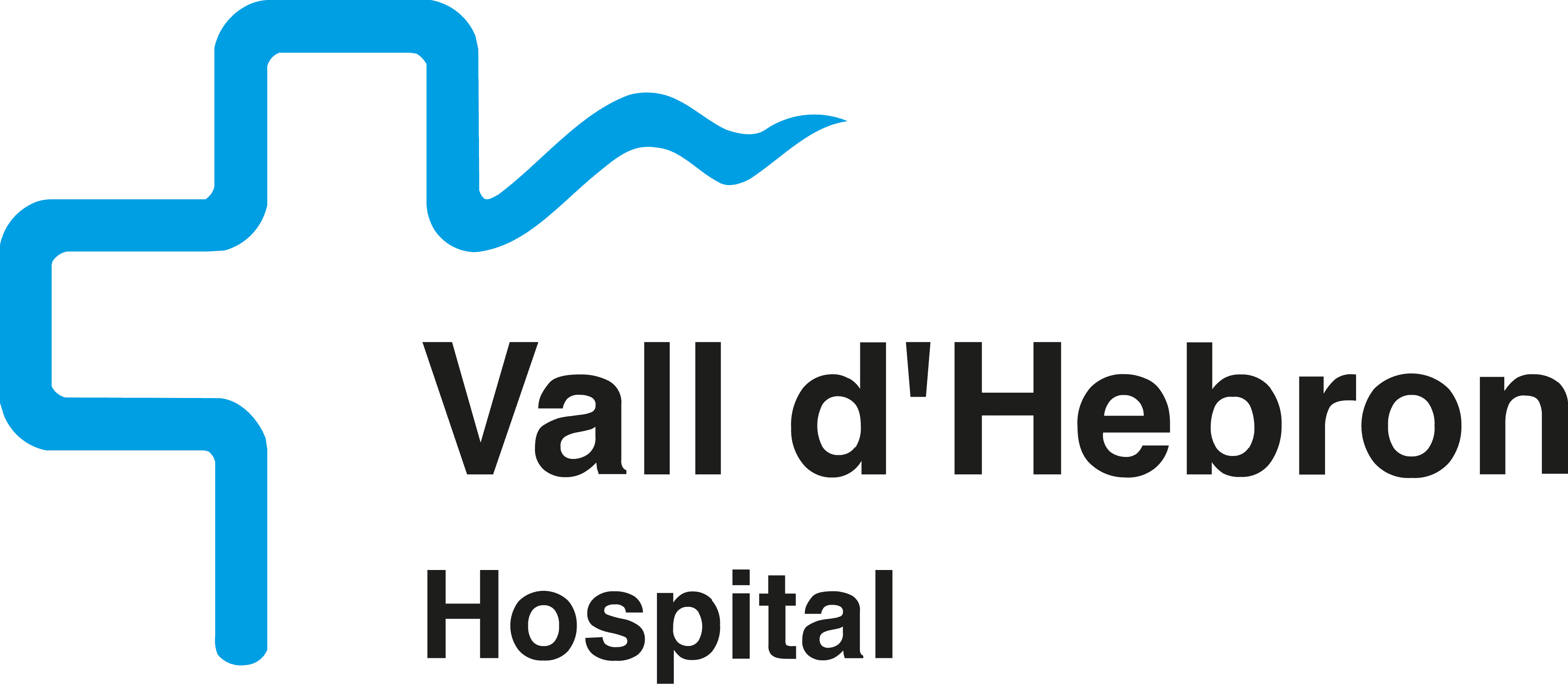 Hospital Universitari Vall d'Hebron
